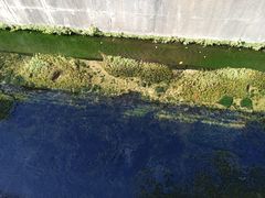 -星之彩摄影冲印店