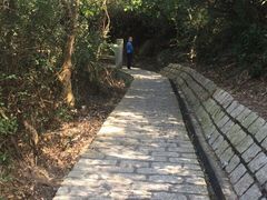 -长洲岛