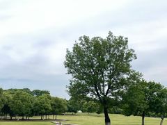 -钟山体育运动公园