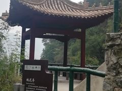 -神农山景区