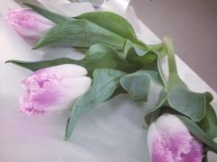 -Butchart布查德鲜花(花艺设计中心)