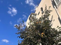 -宏大运餐厅(传媒大学店)