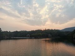 -清迈夜间动物园