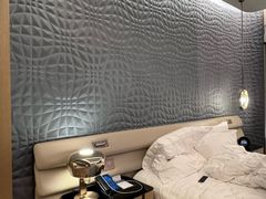 -深圳国际会展中心希尔顿酒店(前海华发冰雪世界店)