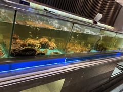 -海天盛宴海鲜自助(正大广场店)