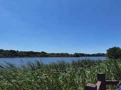 -东湖落雁景区