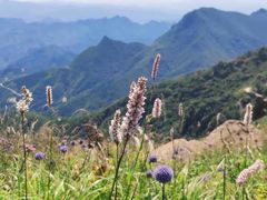 -白草畔自然风景区