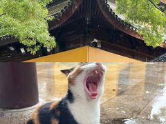 -西园寺素食(西园弄戒幢律寺店)
