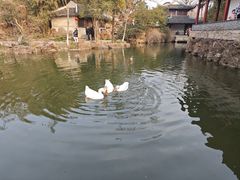 -水绘园