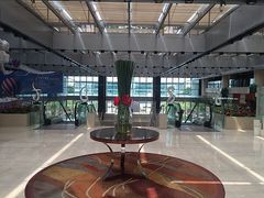 -广州白云机场雅高铂尔曼大酒店