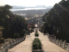 -苏州上方山国家森林公园
