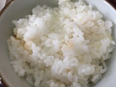 东北大米饭-犀牛家猪排