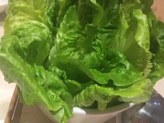 -丰乐斑鱼庄(建业·壹号城邦店)