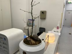 -嘉和医学脱毛中心
