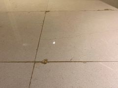 -青岛富力艾美酒店