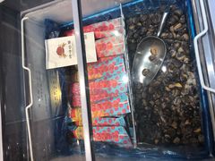 门面-岭峥炒栗(迎新街店)