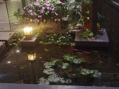-绿房子方寸咖啡(星海名城店)