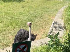 -沈阳森林动物园