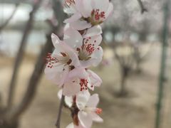 -森林公园(尖草坪区)