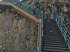 -广东惠东海龟国家级自然保护区