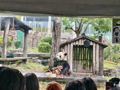 -大连森林动物园