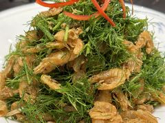 -百年家风·老馆子(东风店)