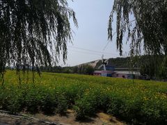 -大连铭湖国际观光牧场