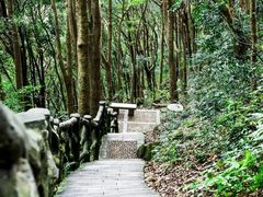 -梧桐山风景名胜区