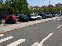 -野生动物园-停车场