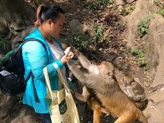 -黔灵山公园-南门售票处