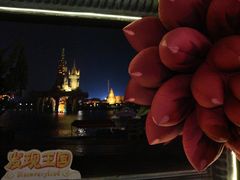 -大连海昌发现王国主题公园