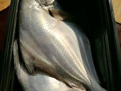 -顺德小院私房菜馆