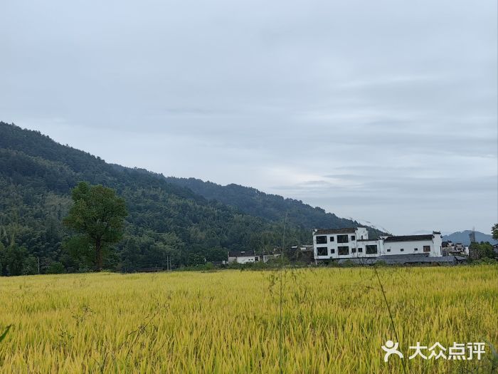 塔川景区图片