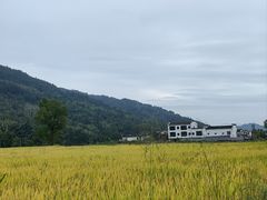 -塔川景区