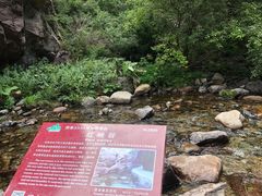 -小五台金河景区