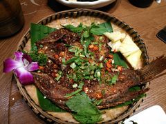 -老滇山寨•云南特色菜•地方菜•民族风情歌舞表演(金碧店)