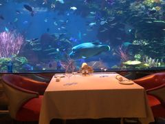 -迪拜帆船酒店海底餐厅