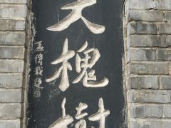 -大槐树寻根祭祖园