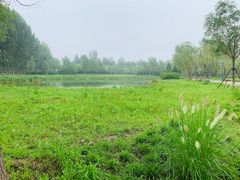 -东郊湿地公园