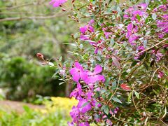 -广州市白云山风景名胜区