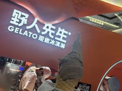 -野人先生现做冰淇淋(北京王府井东方新天地店)