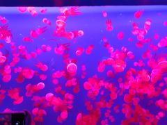 -多彩贵州城极地海洋世界