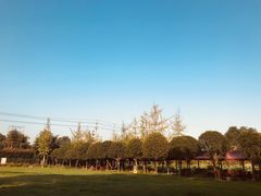 -洪湖家庭农场·团建·露营·会议