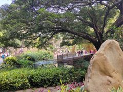 -晓港公园