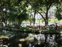-成都市活水公园