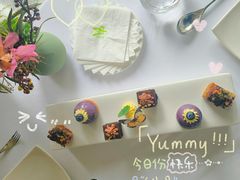 -蝶舍·MAISON PAPILLON