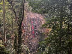 -水濂山森林公园