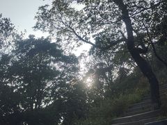 -梧桐山风景名胜区