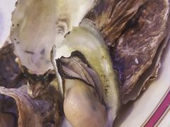 -旅南活海鲜-屏东(墾丁海鮮，海鮮餐廳，墾丁團體合菜，平價熱炒，墾丁熱炒店，活海鮮推薦，在地海鮮餐廳)