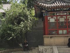 -文瀛公园